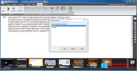 لقطة شاشة Snagit لنظام التشغيل Windows 8
