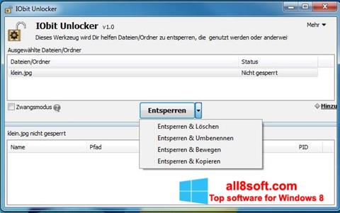 لقطة شاشة IObit Unlocker لنظام التشغيل Windows 8