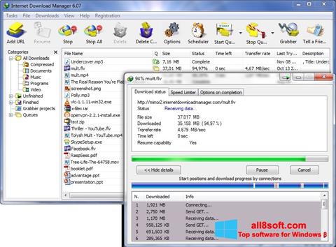 لقطة شاشة Internet Download Manager لنظام التشغيل Windows 8