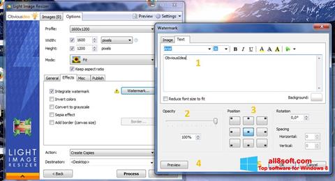 لقطة شاشة Light Image Resizer لنظام التشغيل Windows 8