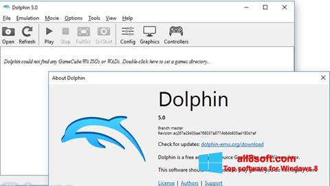 لقطة شاشة Dolphin لنظام التشغيل Windows 8