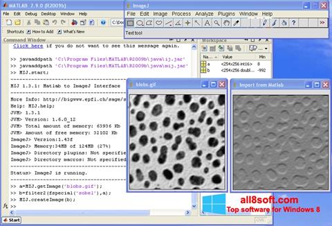 لقطة شاشة ImageJ لنظام التشغيل Windows 8