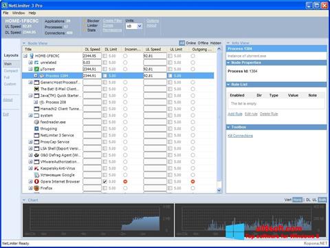لقطة شاشة NetLimiter لنظام التشغيل Windows 8