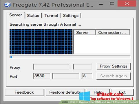 لقطة شاشة Freegate لنظام التشغيل Windows 8