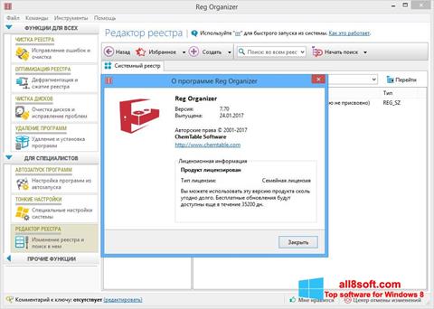لقطة شاشة Reg Organizer لنظام التشغيل Windows 8