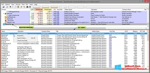 لقطة شاشة Process Explorer لنظام التشغيل Windows 8