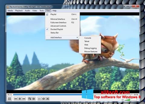 لقطة شاشة VLC Media Player لنظام التشغيل Windows 8